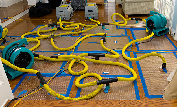 Professional Flood Damage Restoration technician working in Iron, MN